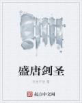 盛唐剑圣封面图片