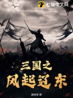 三国之风起辽东封面图片