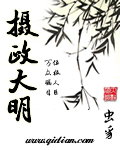 摄政大明封面图片