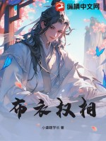 布衣权相封面图片