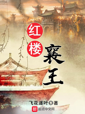 红楼襄王封面图片