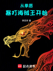 从拳愿暴打海贼王开始封面图片