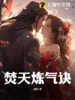 焚天炼气诀封面图片