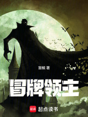冒牌领主封面图片