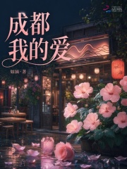 成都，我的爱封面图片