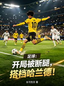 足球：开局被断腿，搭档哈兰德！封面图片