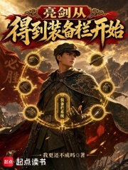 亮剑：从得到装备栏开始封面图片