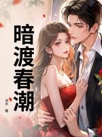 暗渡春潮封面图片