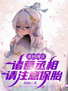 重回现在：诸葛丞相，请注意保胎封面图片