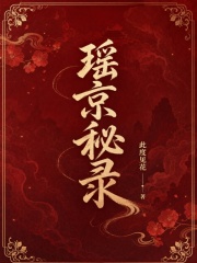 瑶京秘录封面图片