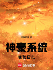 神豪系统实验日志封面图片