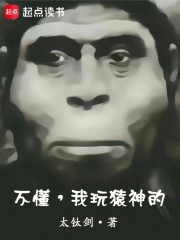 不懂，我玩猿神的封面图片