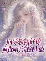 向导软糯好撩，疯批哨兵觊觎上瘾封面图片