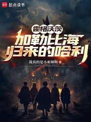 霍格沃茨：加勒比海归来的哈利封面图片