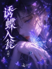 诱蝶入瓮封面图片