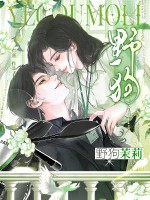 野狗茉莉封面图片