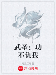 武圣：功不负我封面图片