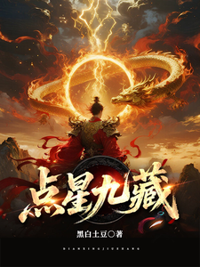 点星九藏封面图片