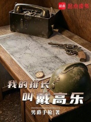 我的排长戴高乐封面图片