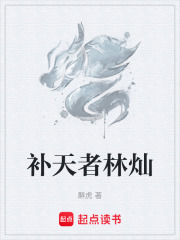 补天者林灿封面图片